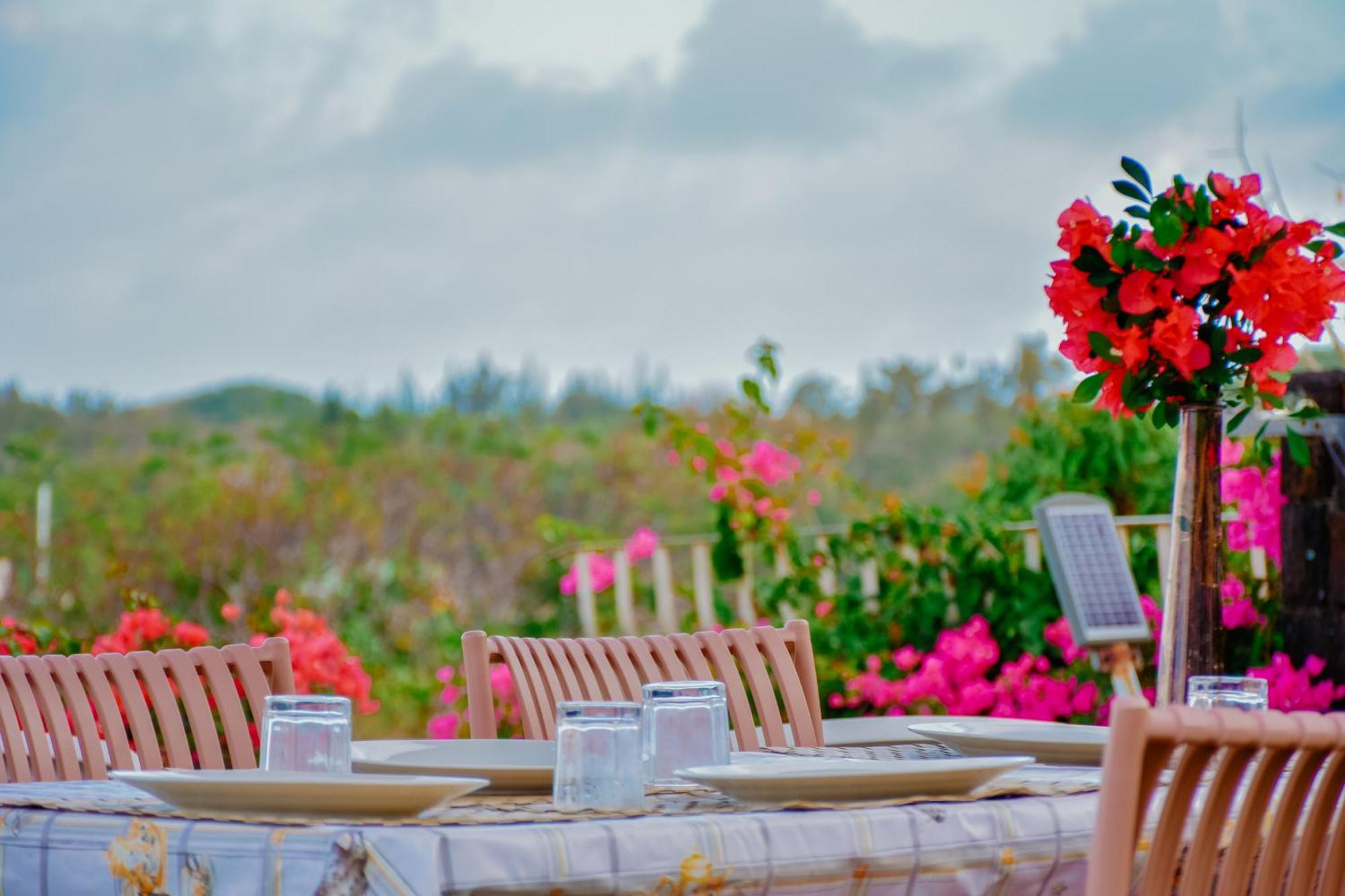Boutique Villa On The Rocks With Stunning Sea Views, Infinity Pool & Private Sea Trou d'Eau Douce Exteriör bild